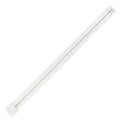 Single Tube 4 Pin Base Compact Fluorescent Light Bulb P580555