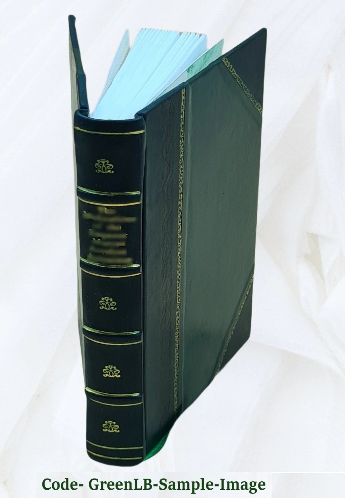 Leather Bound Book L267