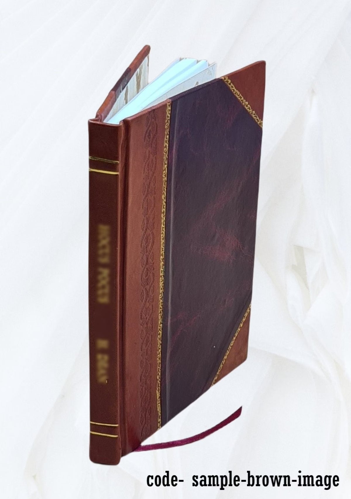 The Dido episode in the Aeneid of Virgil Z539901