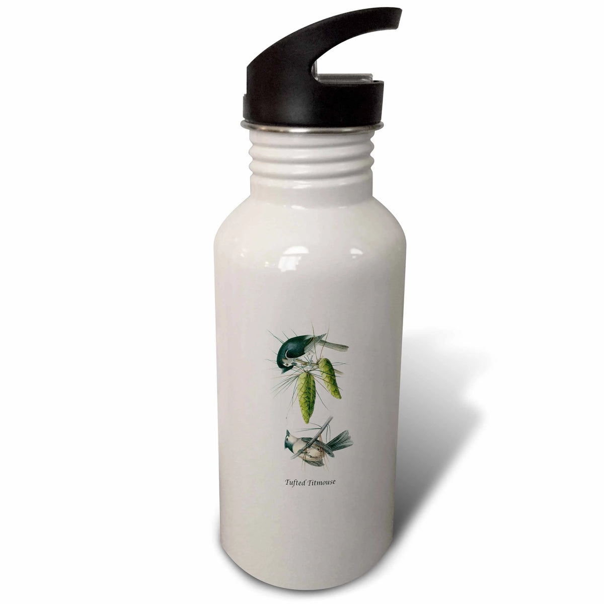 Tufted Titmouse 21 oz Sports Water Bottle N86101