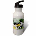 Ladybug and Daisy Flowers 21 oz Sports Water Bottle A818909