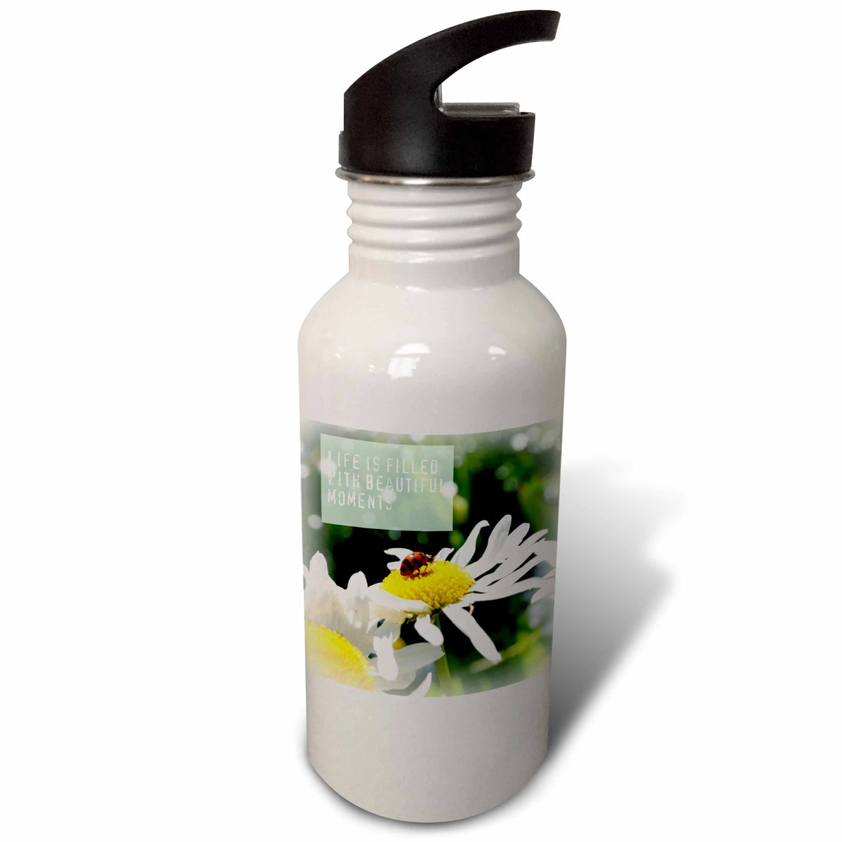 Ladybug and Daisy Flowers 21 oz Sports Water Bottle A818909