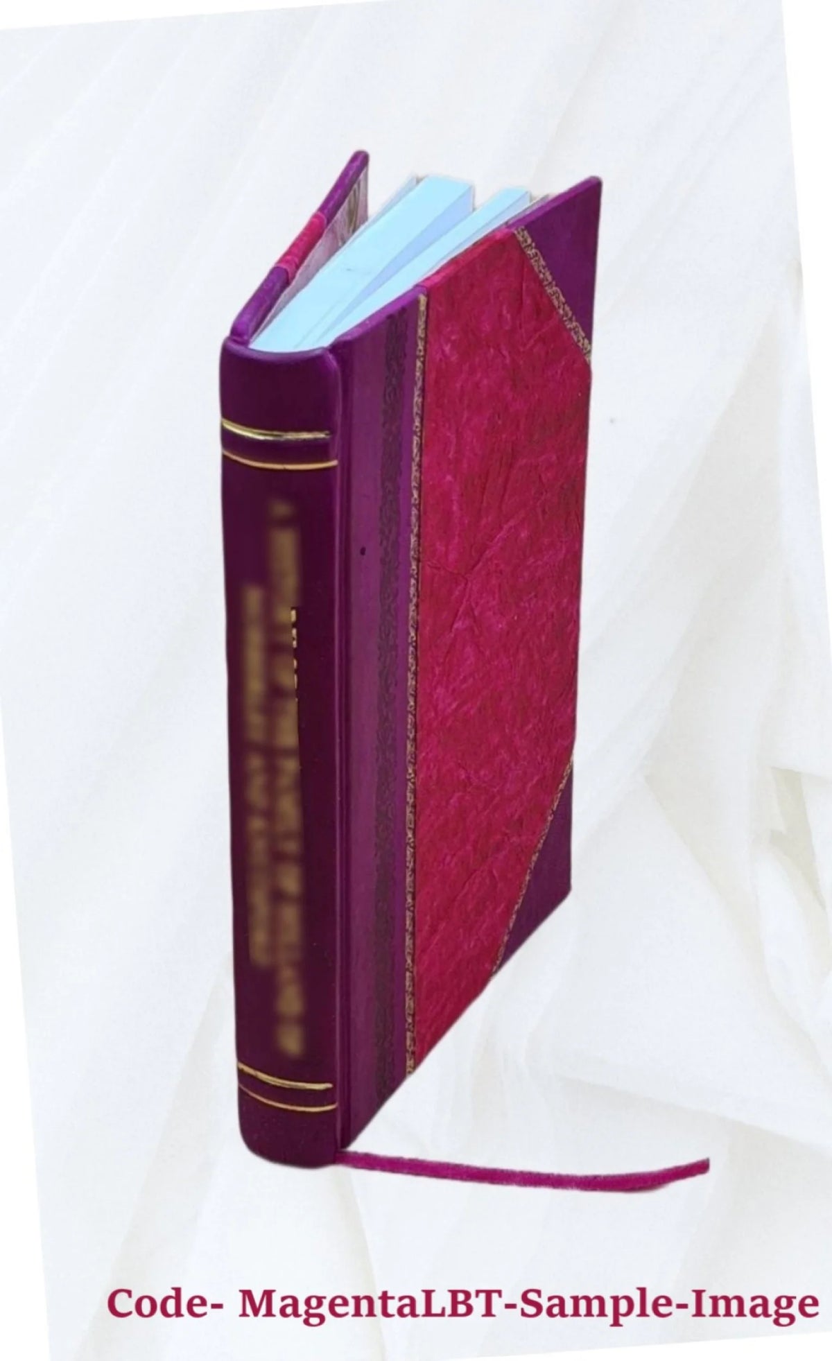 The Dido episode in the Aeneid of Virgil Z539901