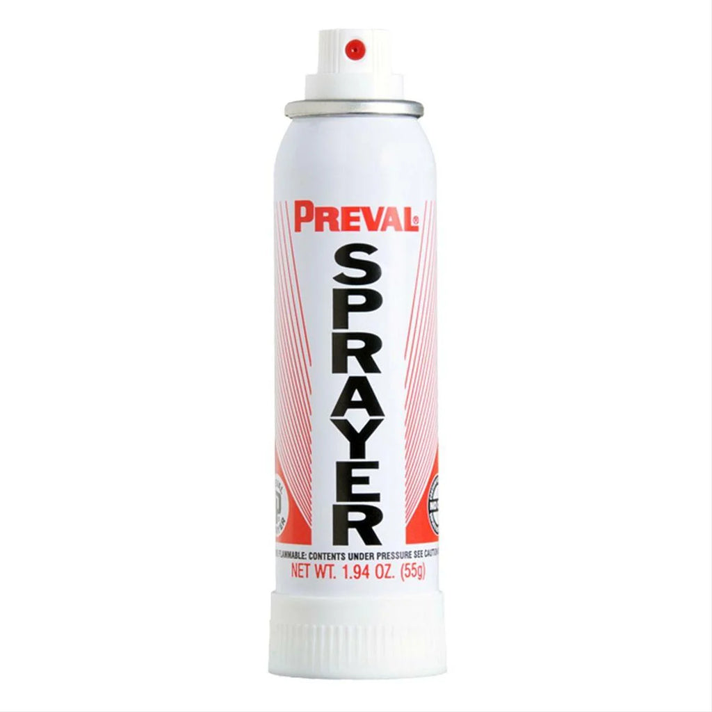 Touch Up Basecoat Spray Paint U896