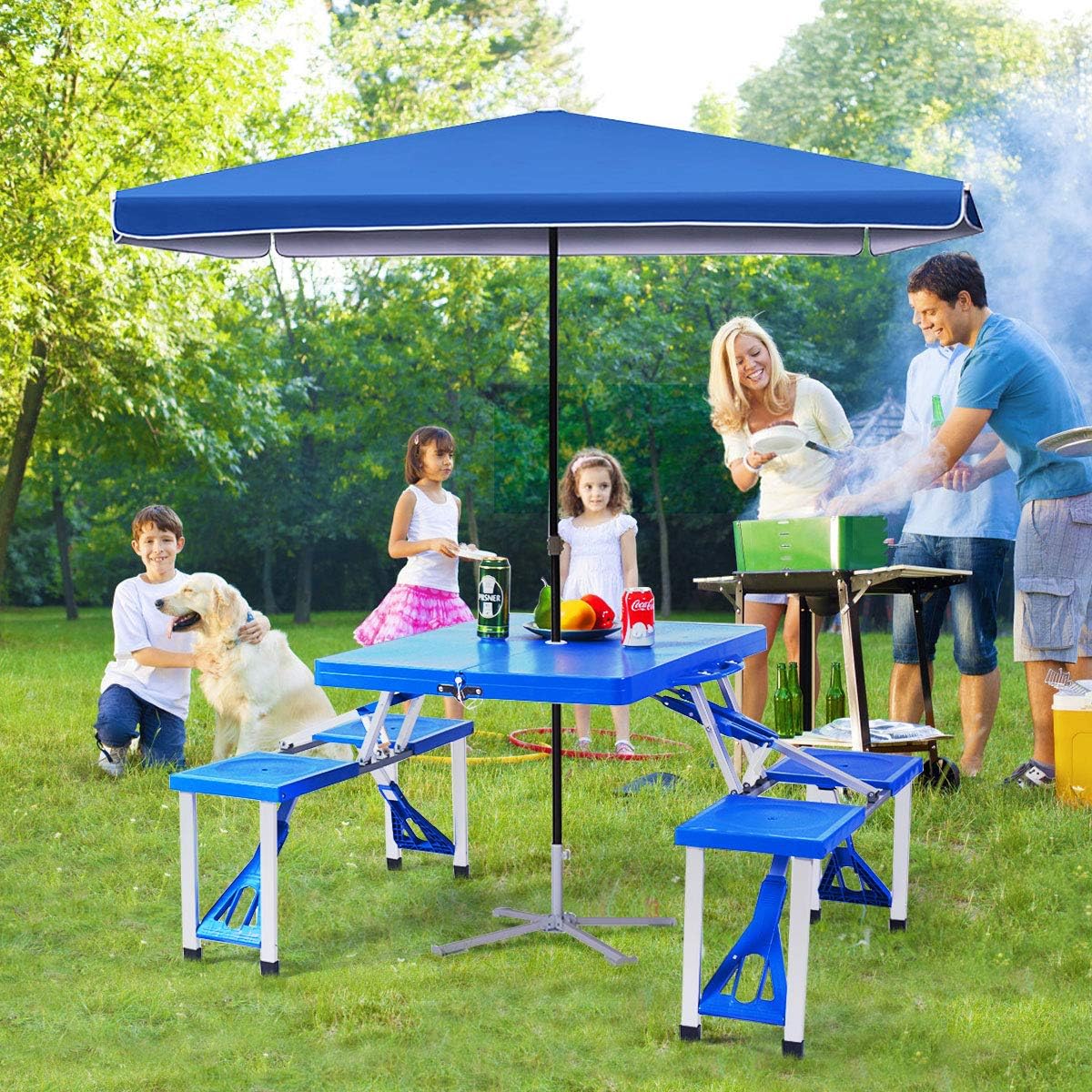 Blue Aluminum Frame Folding Picnic Table with 4 Stools C806