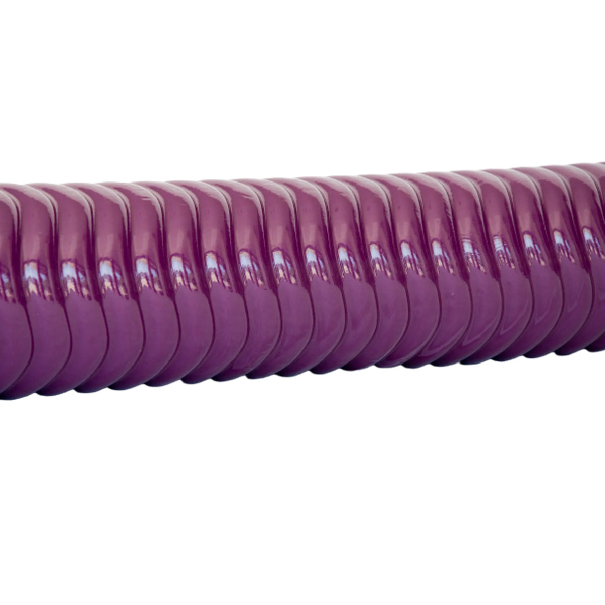 Purple Pool Noodle Y686