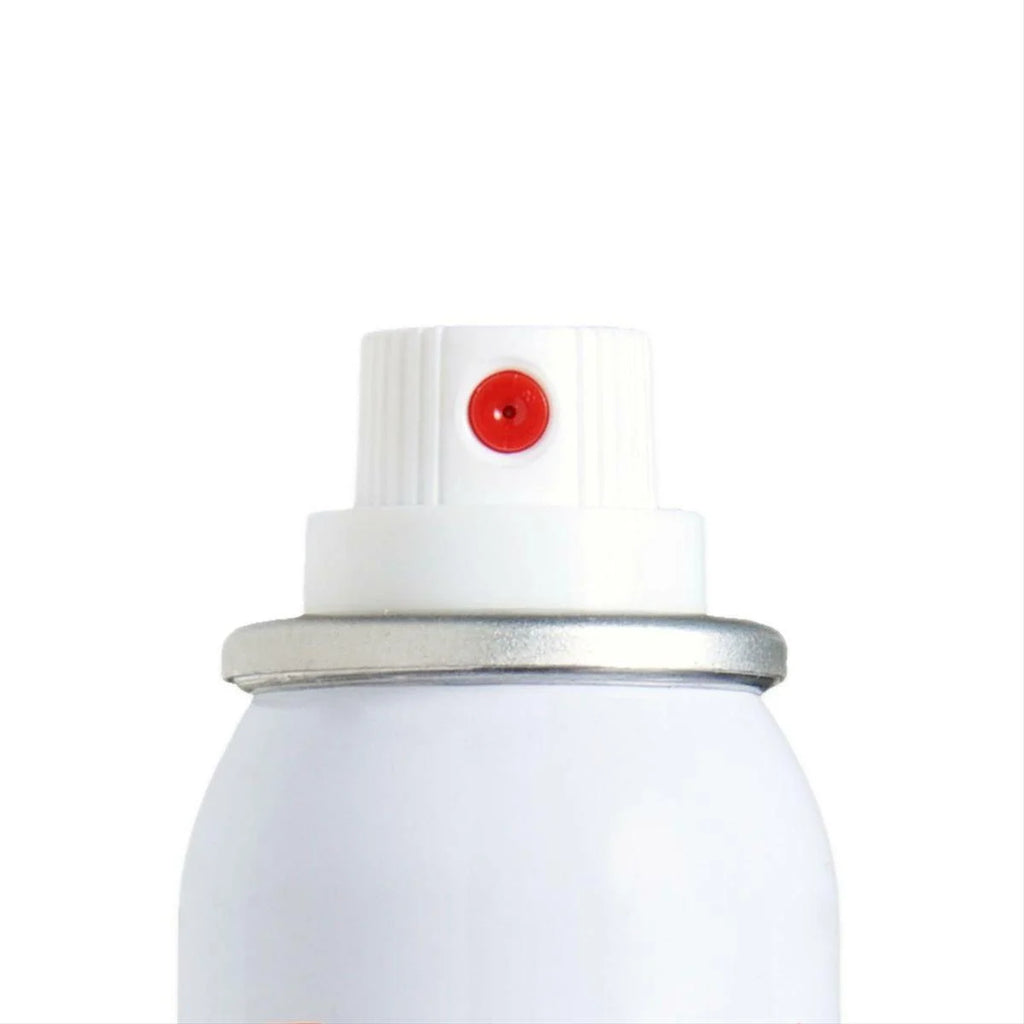Touch Up Basecoat Spray Paint U896