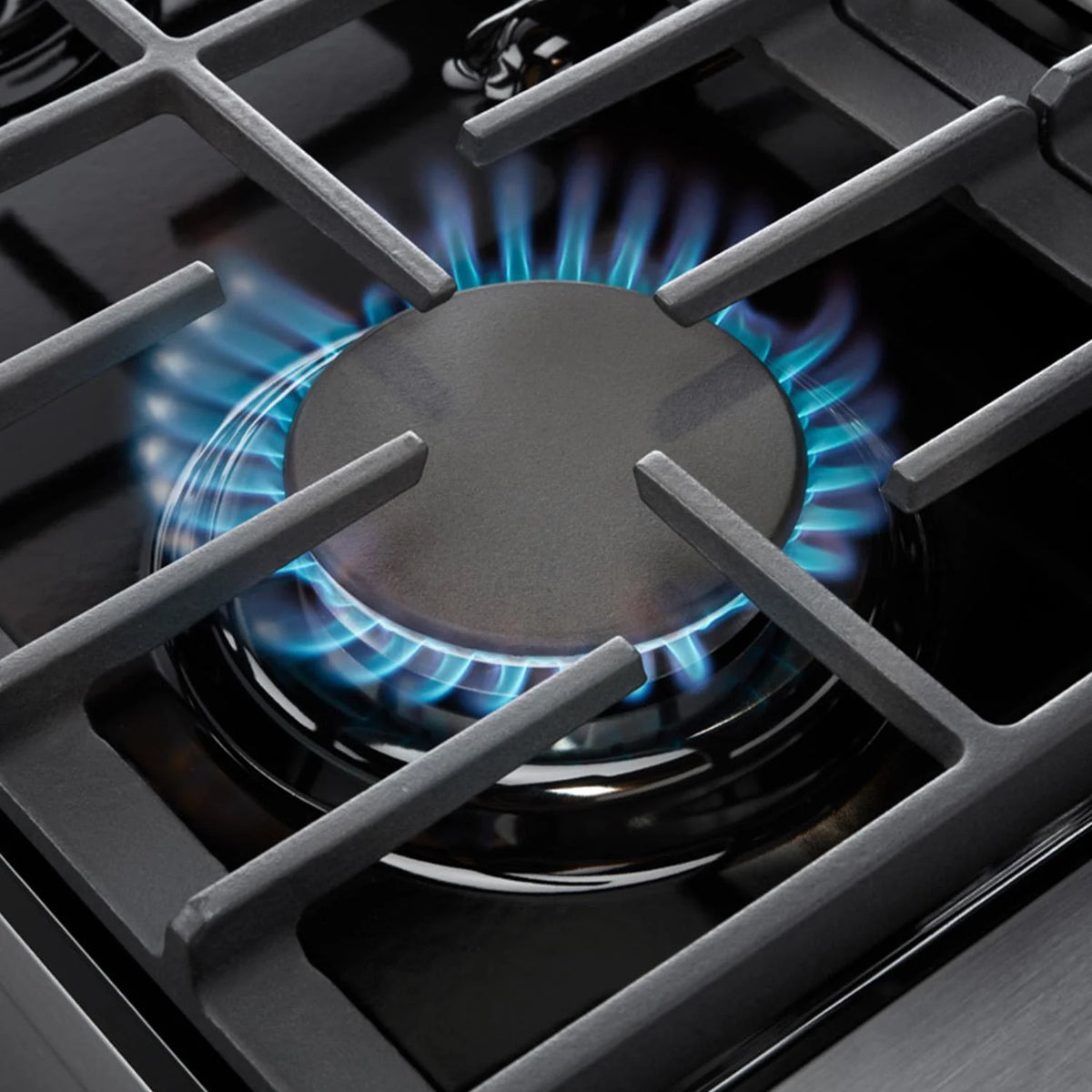 48" Liquid Propane Professional Gas Range C769691