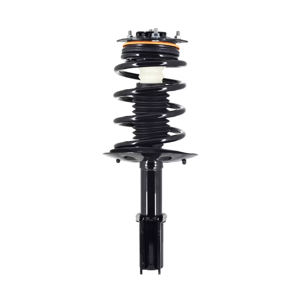 Complete Strut and Coil Spring J20005
