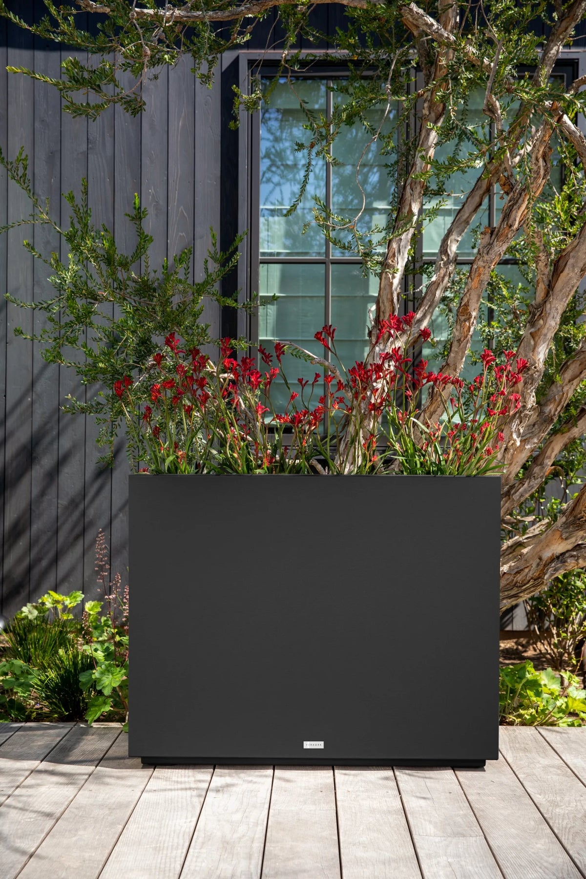 Black Plastic Planter A439601