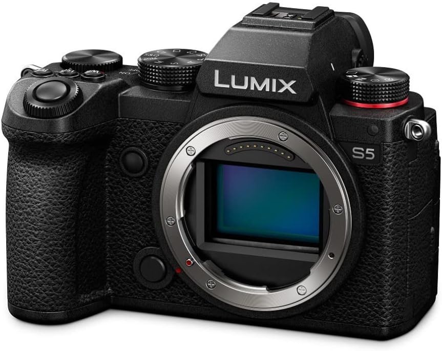 4K Mirrorless Full-Frame L-Mount Camera with 50mm f/1.8 Lens and Battery Bundle I77383