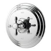 Polished Gold Balanced Pressure Shower Trim P158