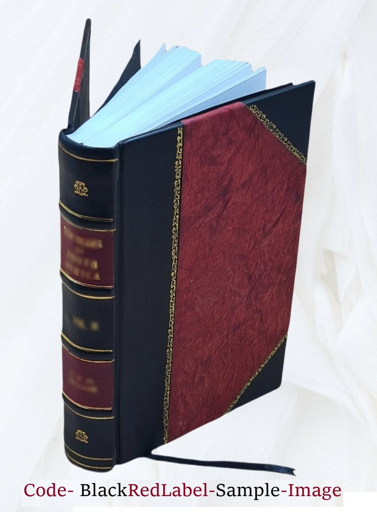 Leather Bound Book L267