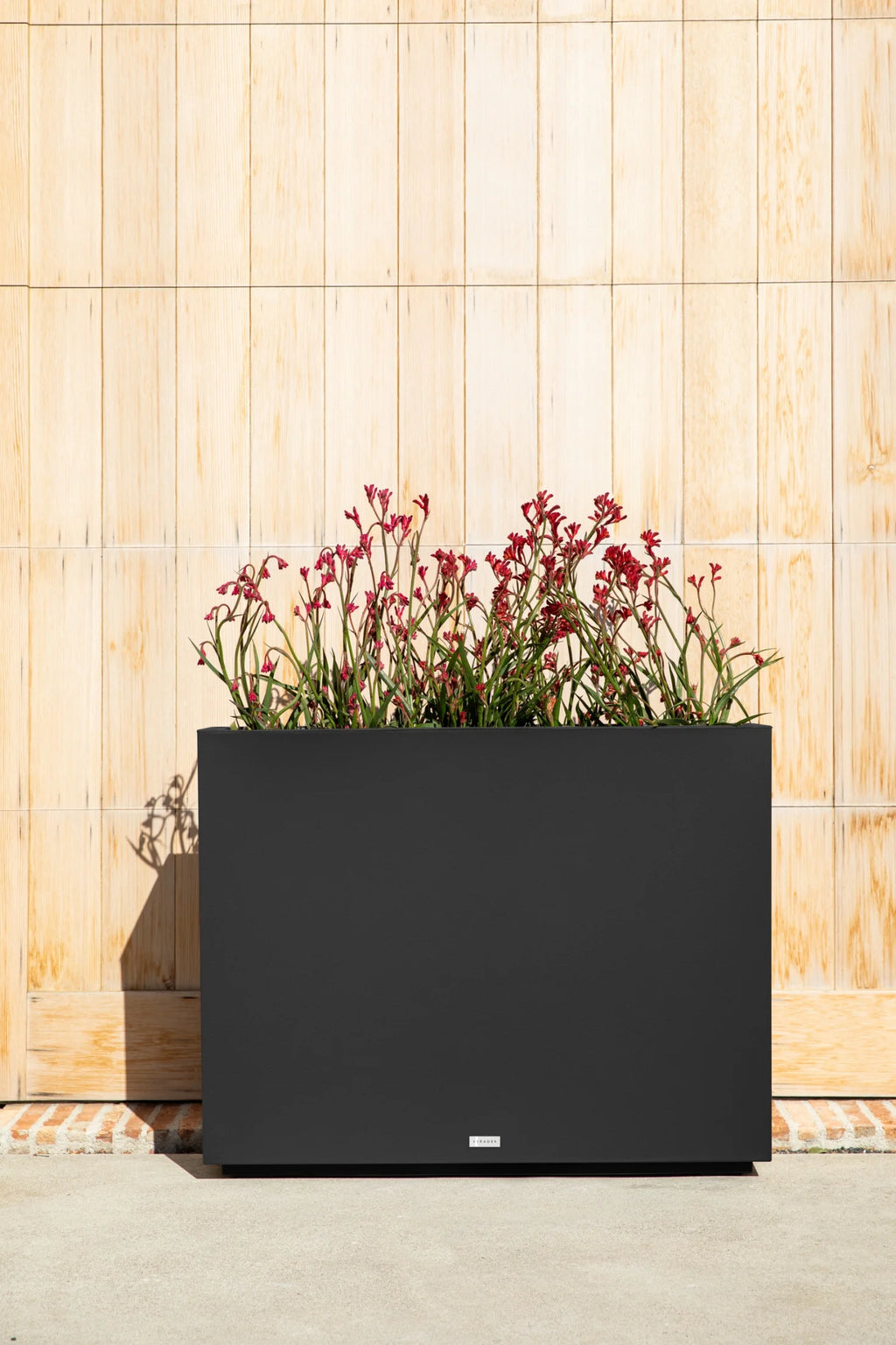 Black Plastic Planter A439601