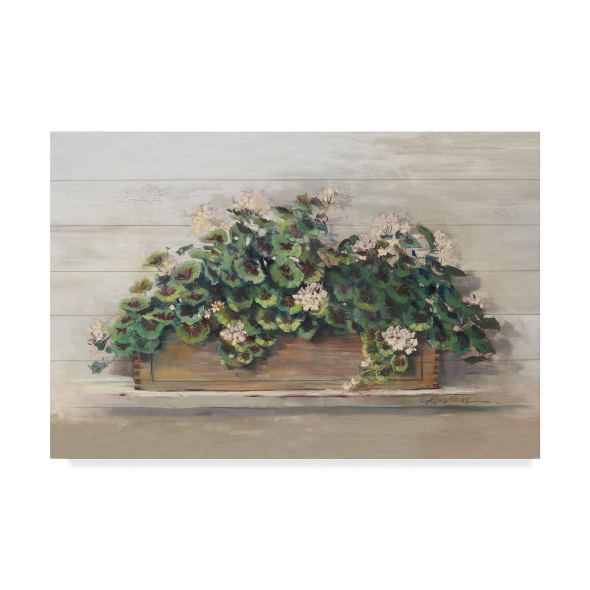 Market Geraniums Crop Art Print Z9201